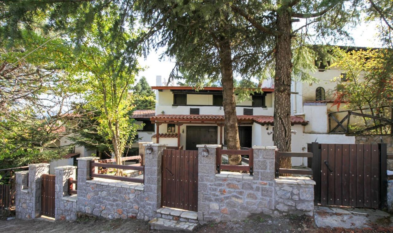 Dandy Villas Agoriani - Chalet Ivoni - Fireplace Eptálofos Екстериор снимка